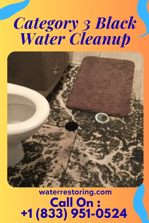 Category 3 Black Water Cleanup in Albany, TX