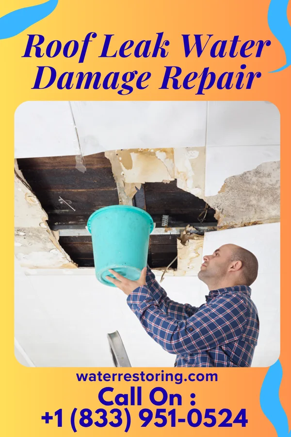Roof Leak Water Damage Repair in Albany, TX