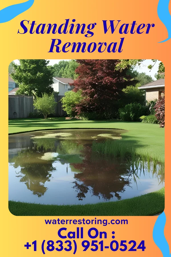 Standing Water Removal in Albany, TX